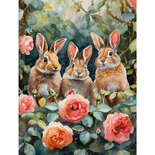 Load image into Gallery viewer, Diamond Painting - Full Square - peter rabbit (30*40CM)
