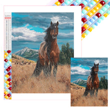 Load image into Gallery viewer, AB Diamond Painting - Full Square - horse (30*40CM)
