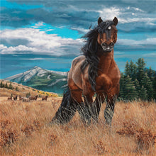 Load image into Gallery viewer, AB Diamond Painting - Full Square - horse (30*40CM)
