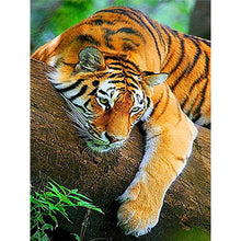 Load image into Gallery viewer, Diamond Painting - Full Round - tiger (30*40CM)
