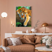 Load image into Gallery viewer, Diamond Painting - Full Round - tiger (30*40CM)
