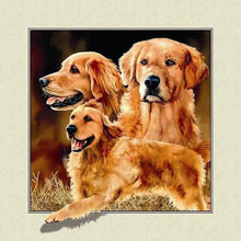 Load image into Gallery viewer, Diamond Painting - Full Square - golden retriever (30*30CM)
