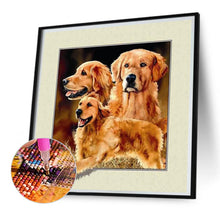 Load image into Gallery viewer, Diamond Painting - Full Square - golden retriever (30*30CM)
