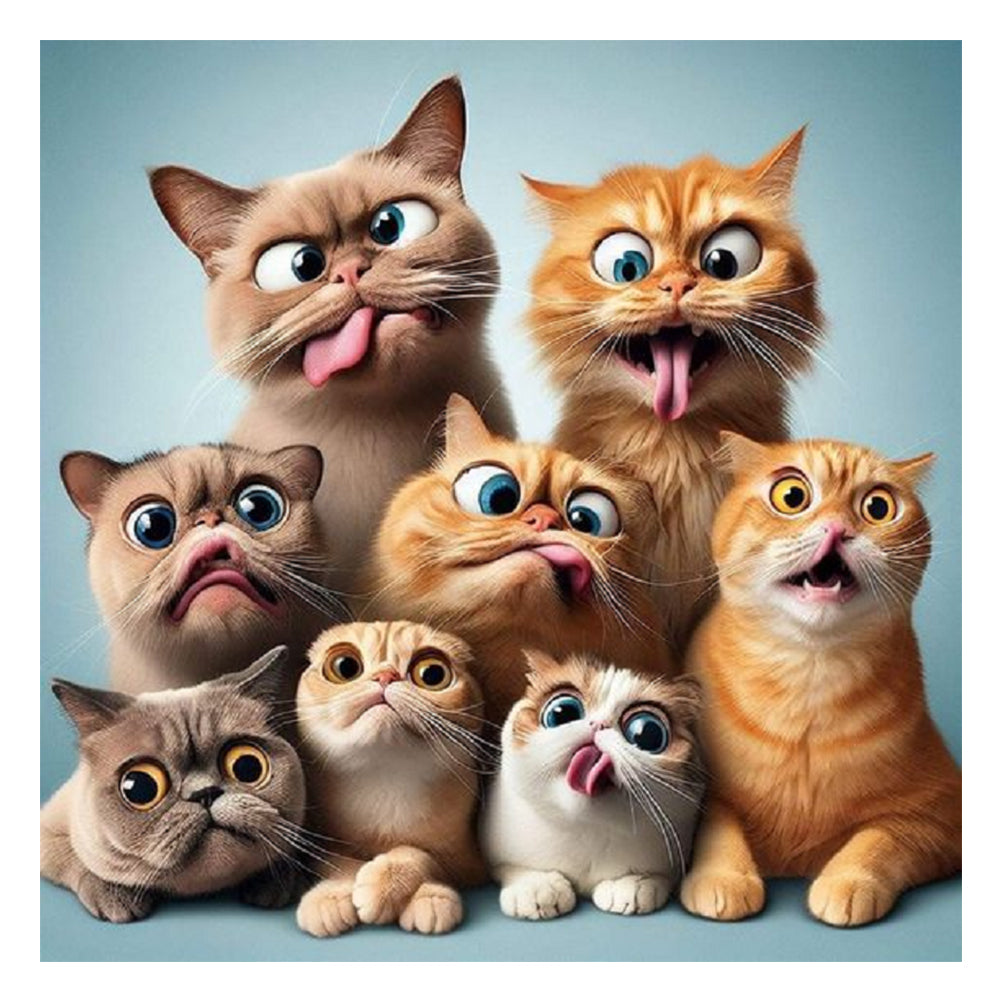 Diamond Painting - Full Round - funny cat (40*40CM)