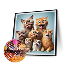 Load image into Gallery viewer, Diamond Painting - Full Round - funny cat (40*40CM)
