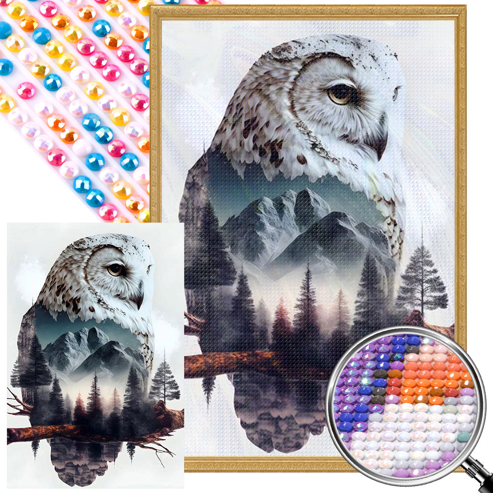 AB Diamond Painting - Full Round - owl landscape (40*60CM)