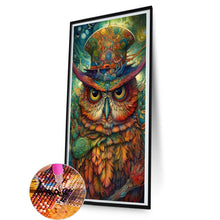 Load image into Gallery viewer, Diamond Painting - Full Round - owl (40*80CM)
