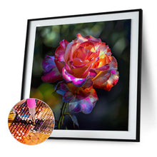Load image into Gallery viewer, Diamond Painting - Full Round - roses (30*30CM)
