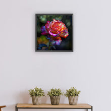 Load image into Gallery viewer, Diamond Painting - Full Round - roses (30*30CM)
