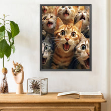 Load image into Gallery viewer, Diamond Painting - Full Round - funny cat (30*40CM)
