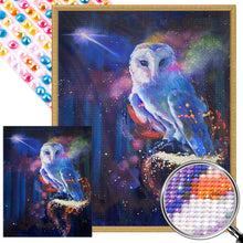 Load image into Gallery viewer, AB Diamond Painting - Full Round - Mysterious Owl (40*50CM)

