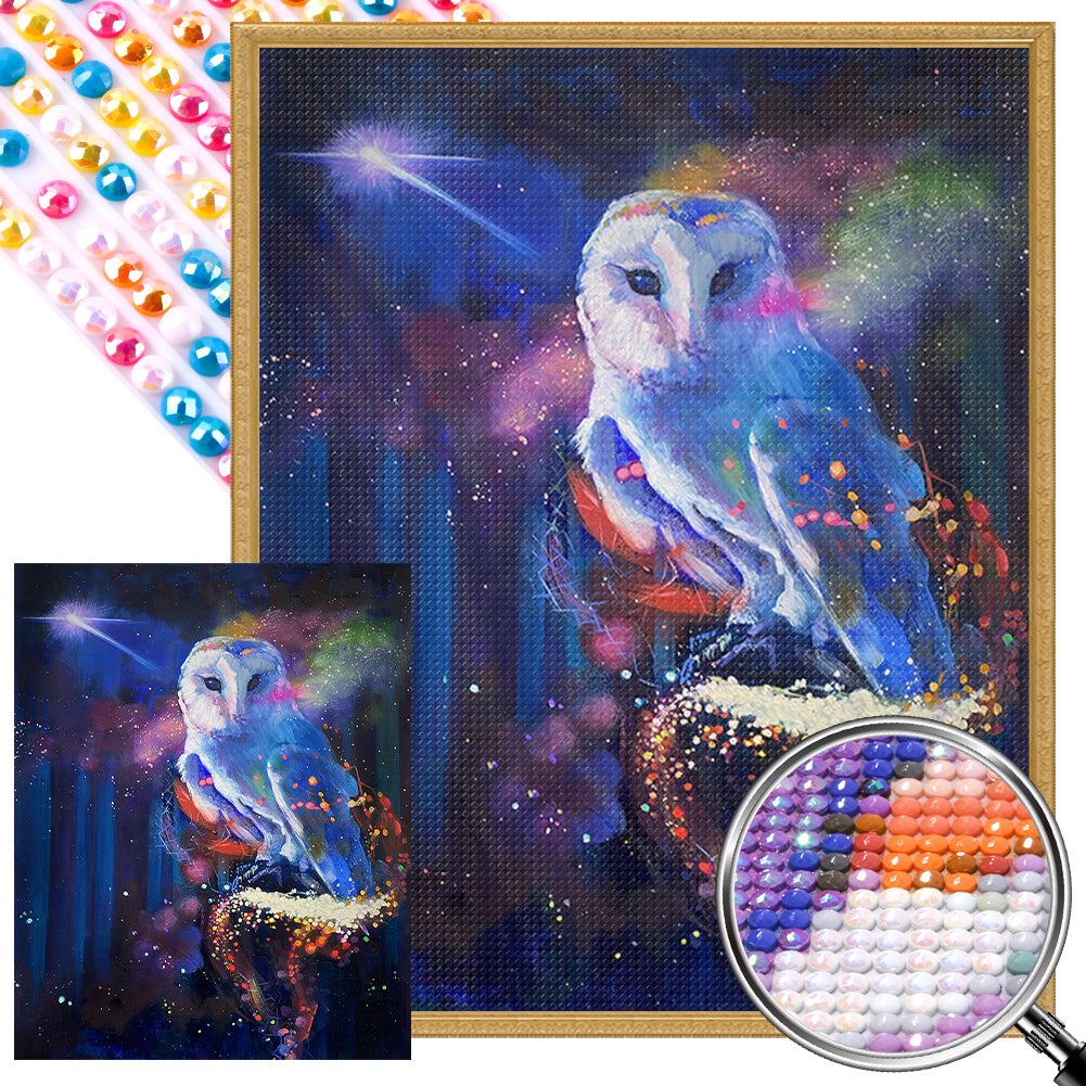 AB Diamond Painting - Full Round - Mysterious Owl (40*50CM)