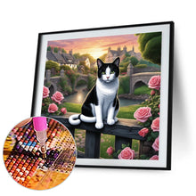 Load image into Gallery viewer, Diamond Painting - Full Round - small town cat (30*30CM)
