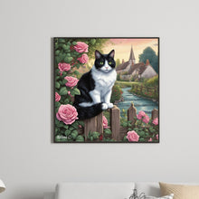 Load image into Gallery viewer, Diamond Painting - Full Round - black and white cat (30*30CM)

