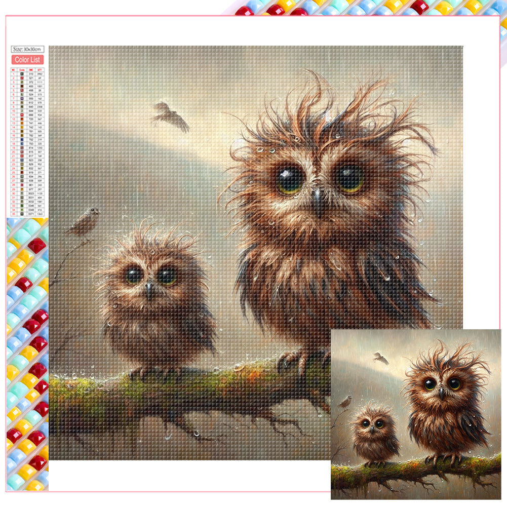 Diamond Painting - Full Square - owl (30*30CM)
