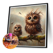 Load image into Gallery viewer, Diamond Painting - Full Square - owl (30*30CM)
