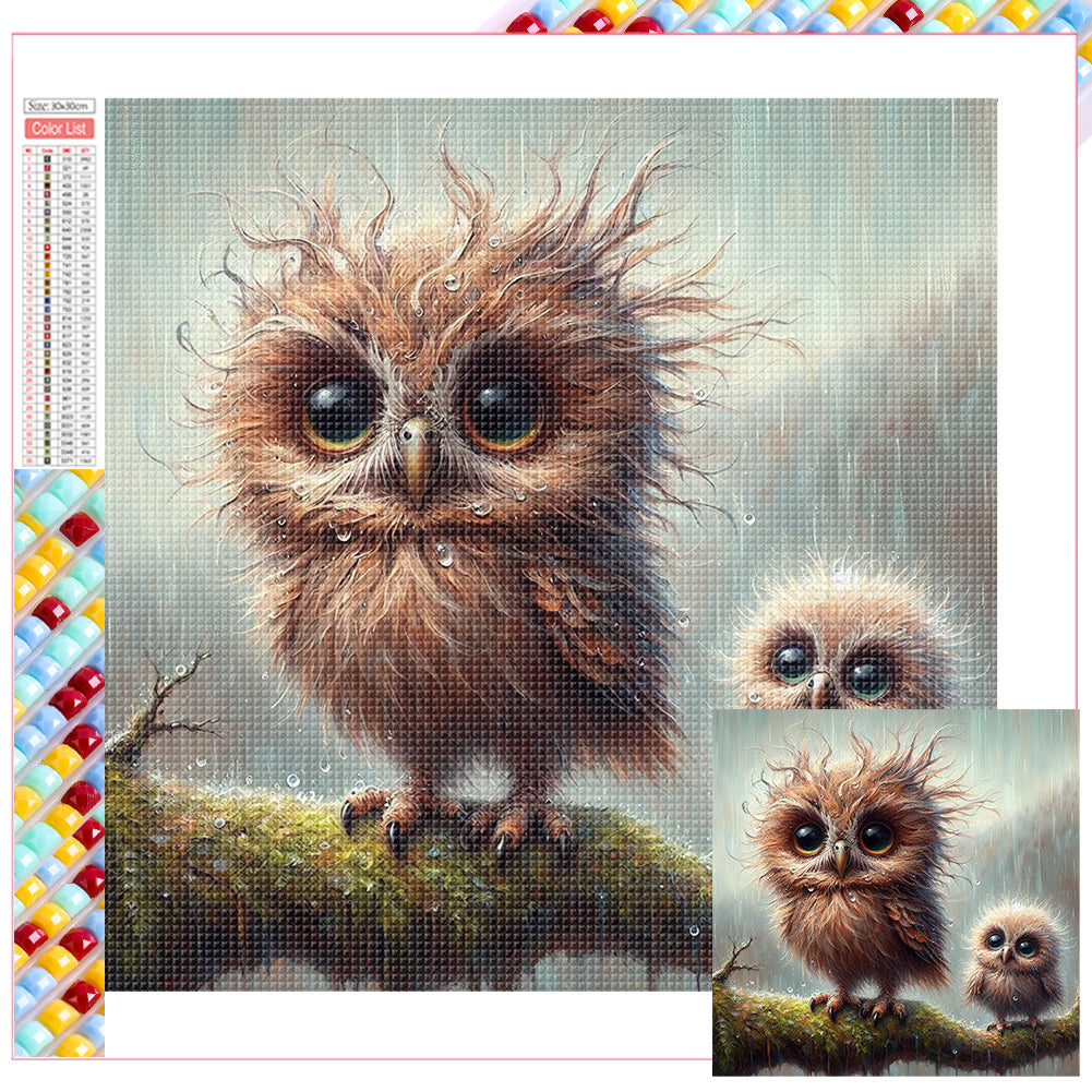 Diamond Painting - Full Square - owl (30*30CM)