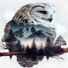 Load image into Gallery viewer, AB Diamond Painting - Full Round - owl (40*60CM)
