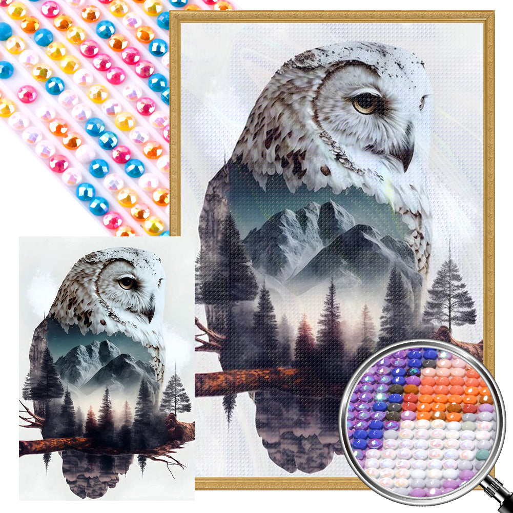 AB Diamond Painting - Full Round - owl (40*60CM)