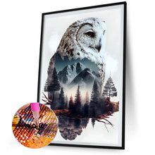 Load image into Gallery viewer, AB Diamond Painting - Full Round - owl (40*60CM)

