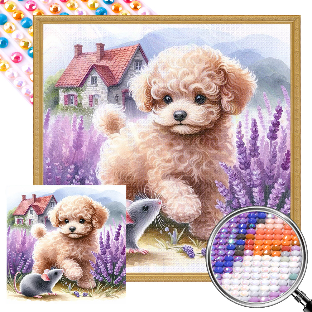 AB Diamond Painting - Full Round - Poodle (40*40CM)