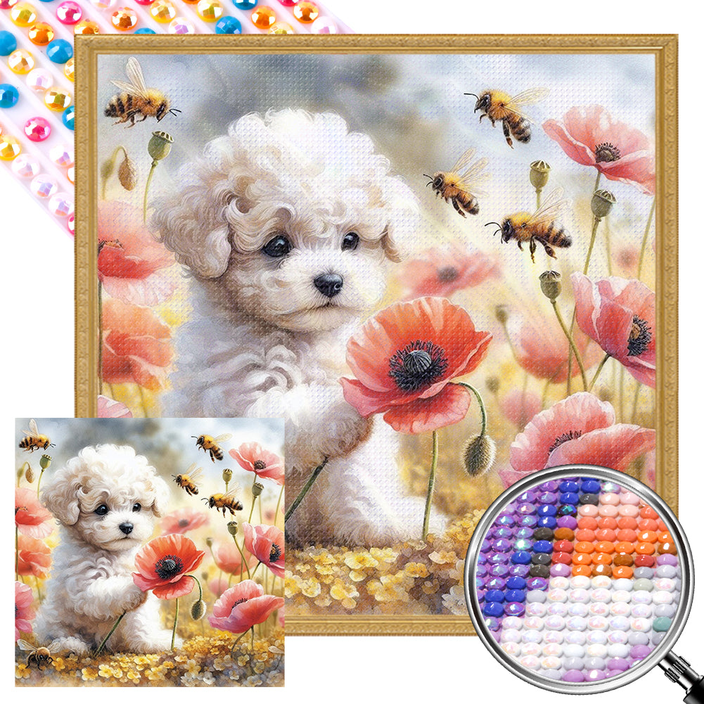 AB Diamond Painting - Full Round - white poodle (40*40CM)