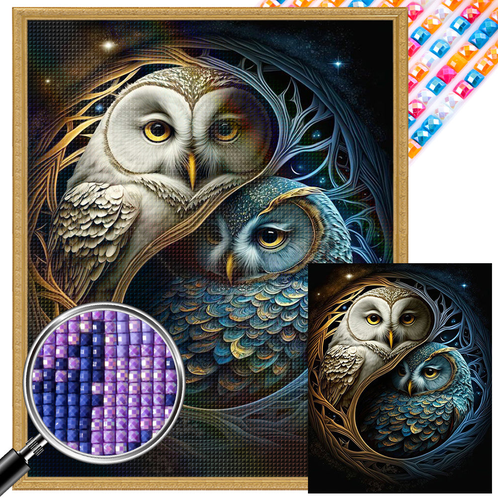 AB Diamond Painting - Full Square - owl (40*50CM)