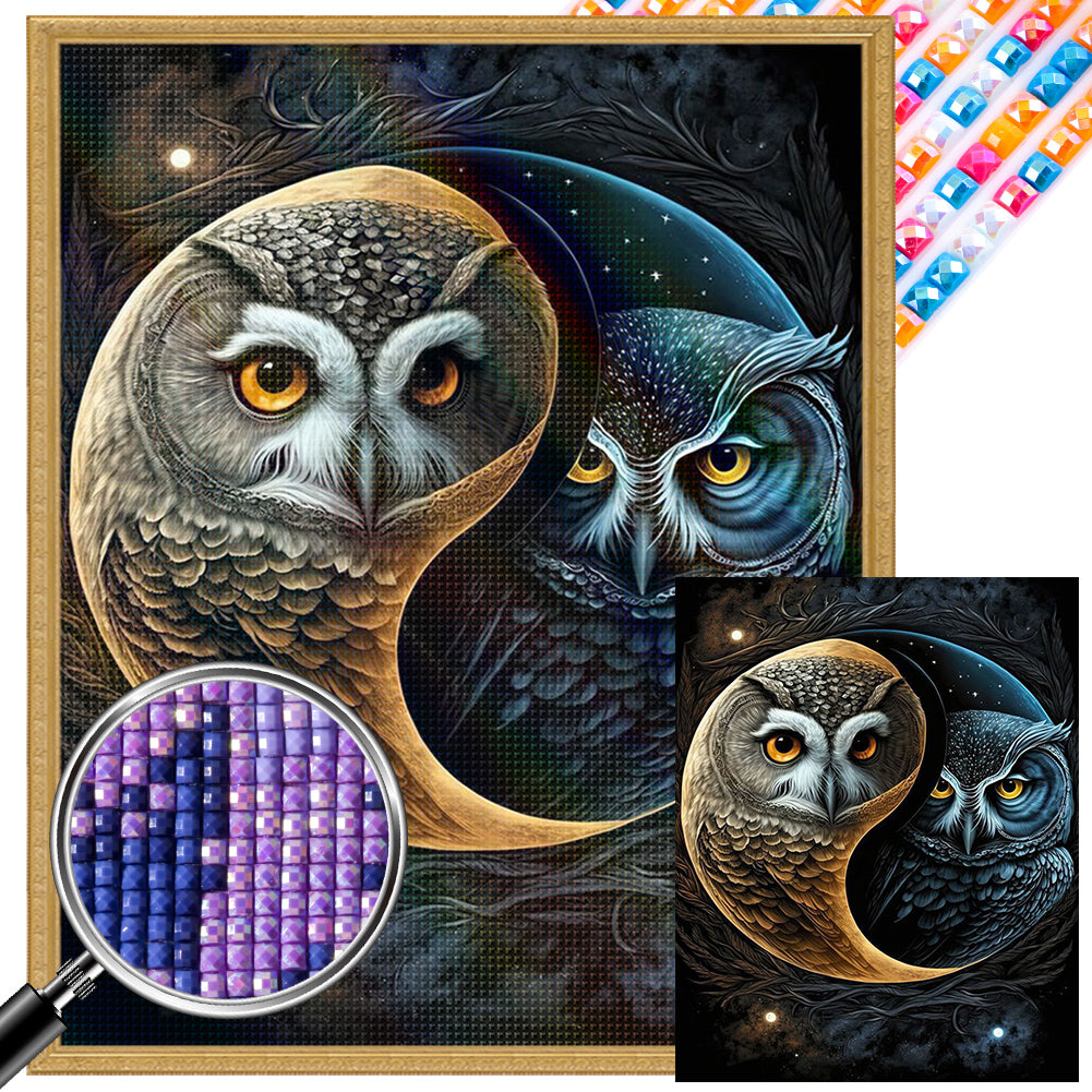 AB Diamond Painting - Full Square - owl (40*50CM)