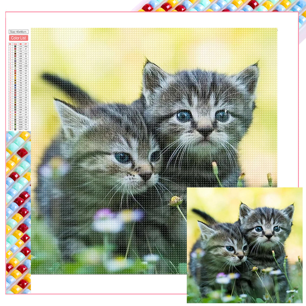 Diamond Painting - Full Square - cat cat (40*40CM)