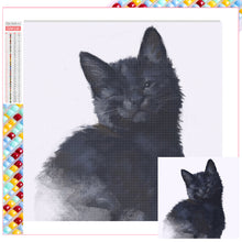 Load image into Gallery viewer, Diamond Painting - Full Square - black cat (50*50CM)
