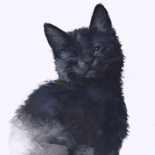 Load image into Gallery viewer, Diamond Painting - Full Square - black cat (50*50CM)
