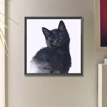 Load image into Gallery viewer, Diamond Painting - Full Square - black cat (50*50CM)
