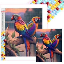 Load image into Gallery viewer, Diamond Painting - Full Square - Parrot (45*60CM)
