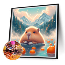 Load image into Gallery viewer, Diamond Painting - Full Round - kapibala (30*30CM)
