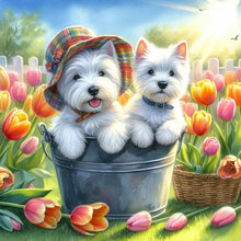 Load image into Gallery viewer, Diamond Painting - Full Round - west highland white terrier (30*30CM)
