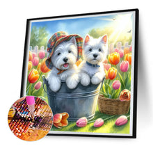 Load image into Gallery viewer, Diamond Painting - Full Round - west highland white terrier (30*30CM)
