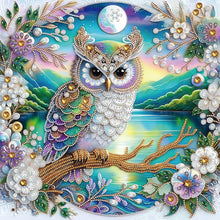 Load image into Gallery viewer, Diamond Painting - Partial Special Shaped - landscape owl (40*40CM)
