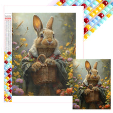 Load image into Gallery viewer, Diamond Painting - Full Square - peter rabbit (30*40CM)
