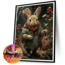 Load image into Gallery viewer, Diamond Painting - Full Square - peter rabbit (30*40CM)
