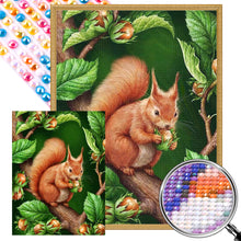 Load image into Gallery viewer, AB Diamond Painting - Full Round - squirrel (60*45CM)
