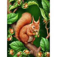 Load image into Gallery viewer, AB Diamond Painting - Full Round - squirrel (60*45CM)
