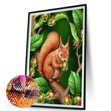Load image into Gallery viewer, AB Diamond Painting - Full Round - squirrel (60*45CM)
