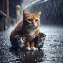Load image into Gallery viewer, Diamond Painting - Full Round - Kitten in the rain (40*40CM)
