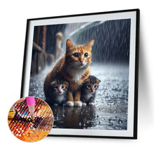 Load image into Gallery viewer, Diamond Painting - Full Round - Kitten in the rain (40*40CM)
