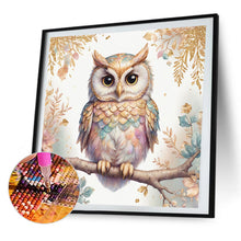 Load image into Gallery viewer, AB Diamond Painting - Full Round - owl (40*40CM)
