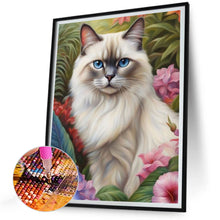 Load image into Gallery viewer, Diamond Painting - Full Round - cat (30*40CM)

