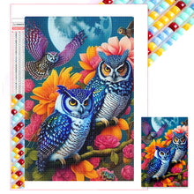 Load image into Gallery viewer, AB Diamond Painting - Full Square - owl (40*60CM)
