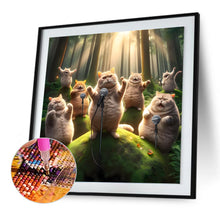 Load image into Gallery viewer, Diamond Painting - Full Round - funny cat (30*30CM)
