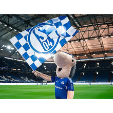 Load image into Gallery viewer, Diamond Painting - Full Round - Schalke 04 mascot (40*30CM)

