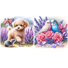 Load image into Gallery viewer, 2pcs AB Diamond Painting - Full Round - lavender poodle parrot (40*40CM)
